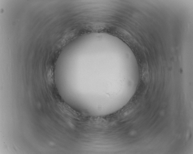 X0000074320866200609152029