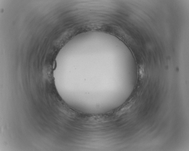 X0000074320867200609152029