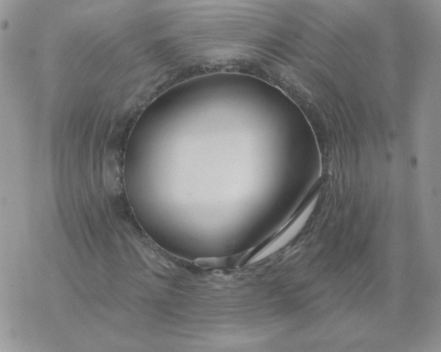 X0000074320868200609152029