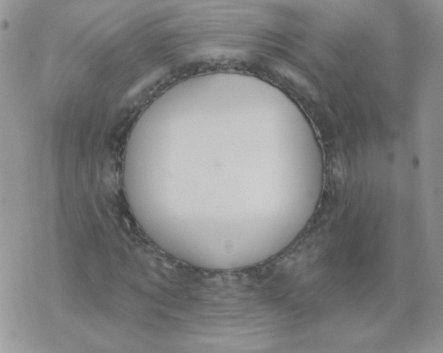 X0000074320869200609152029