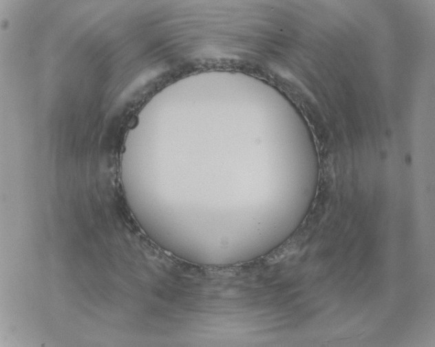 X0000074320870200609152029