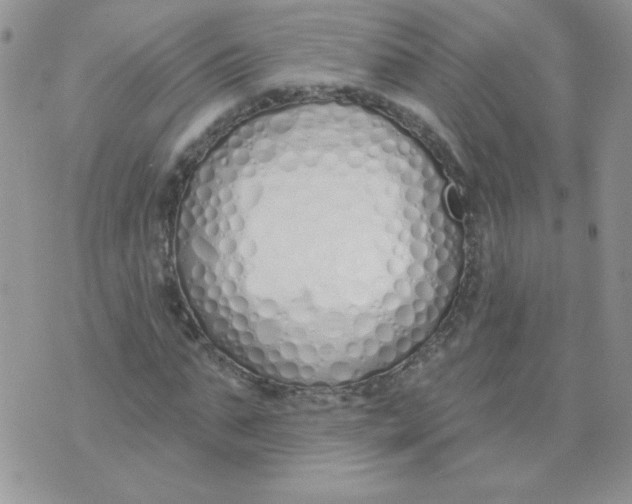 X0000074320871200609152029