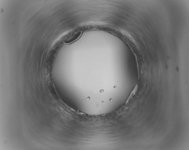 X0000074320872200609152029