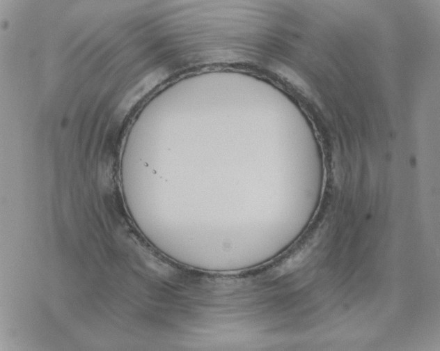 X0000074320873200609152029