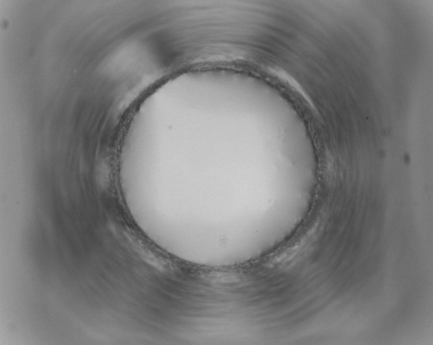 X0000074320874200609152029