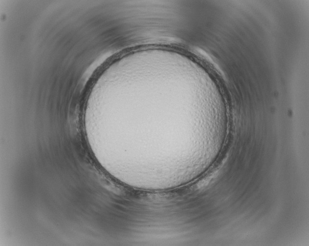 X0000074320875200609152029