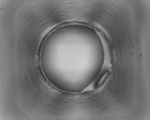 X0000074320876200609152029