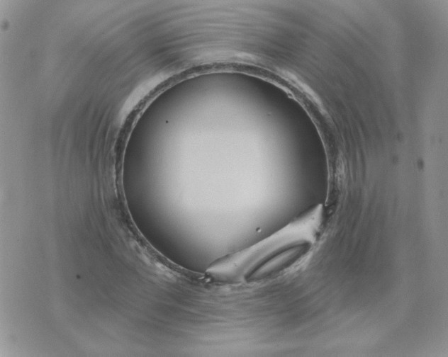 X0000074320877200609152029