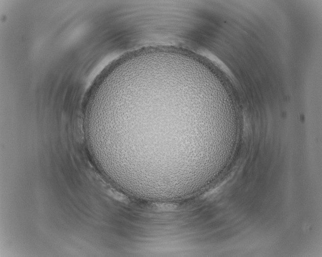 X0000074320878200609152029