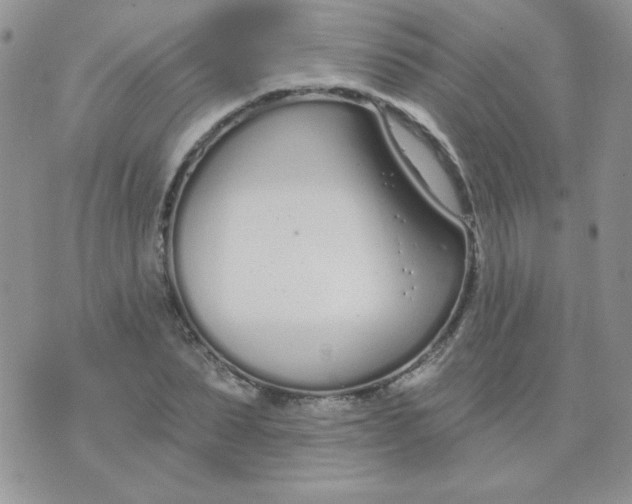 X0000074320879200609152029