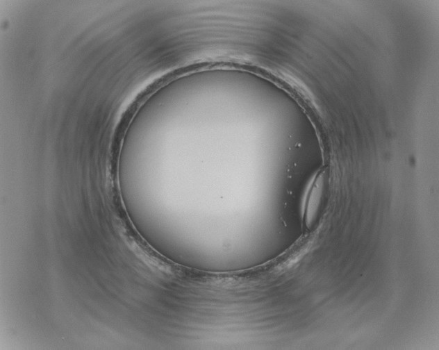 X0000074320880200609152029