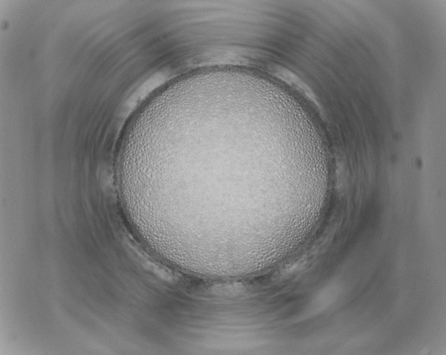 X0000074320882200609152029