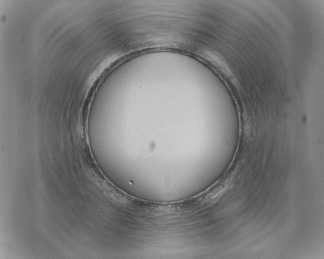 X0000074320883200609152029