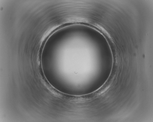 X0000074320885200609152029