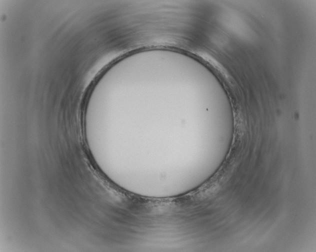 X0000074320886200609152029