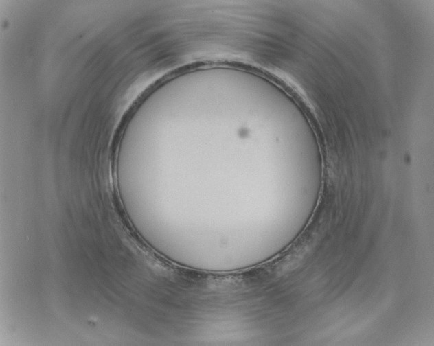 X0000074320887200609152029