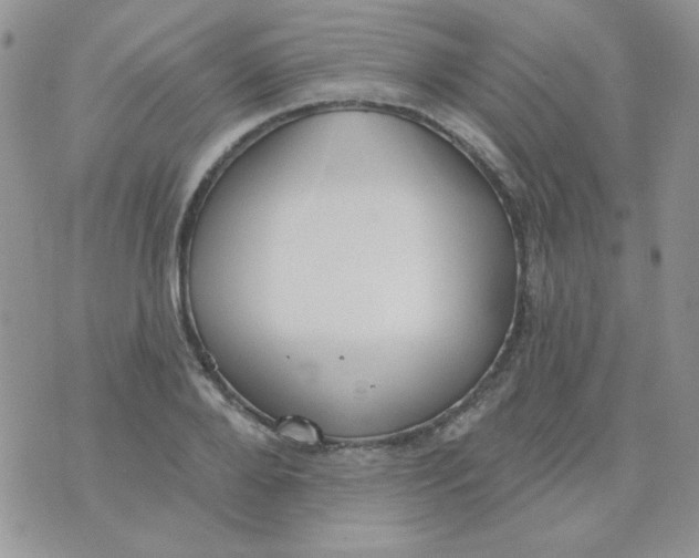 X0000074320888200609152029