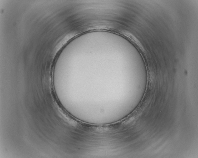 X0000074320890200609152029