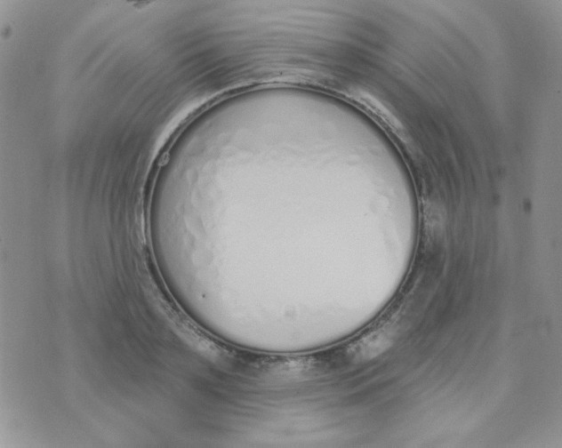 X0000074320891200609152029