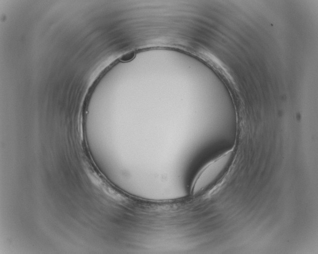 X0000074320892200609152029