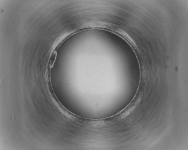 X0000074320893200609152029