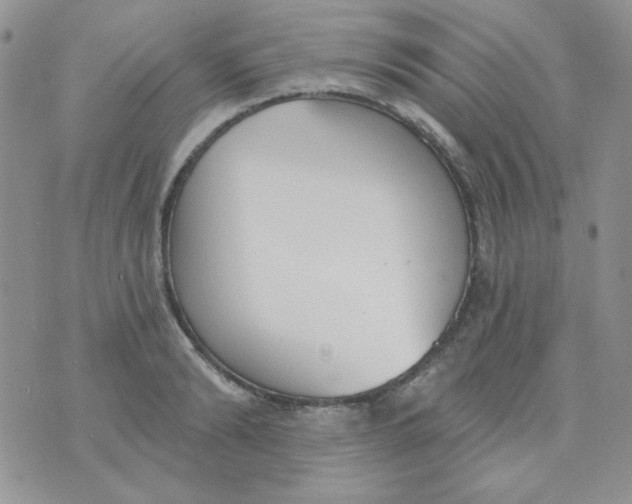 X0000074320894200609152029