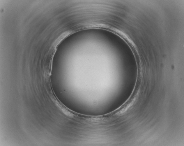 X0000074320897200609152029