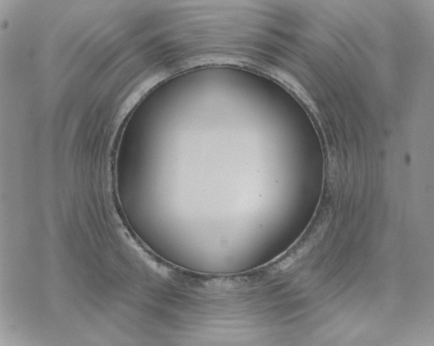 X0000074320898200609152029