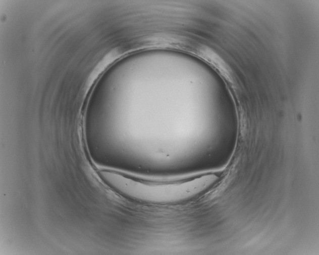 X0000074320899200609152029