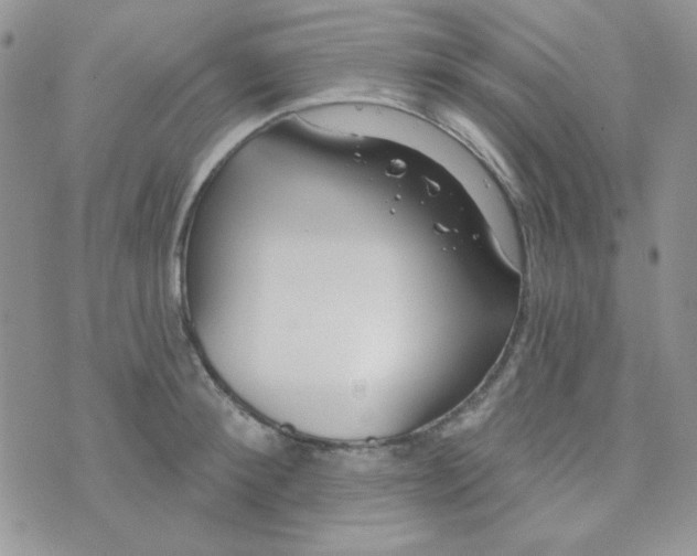 X0000074320900200609152029