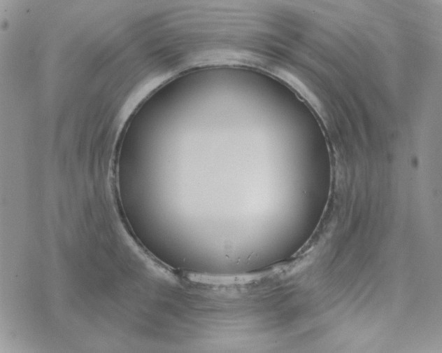 X0000074320901200609152029