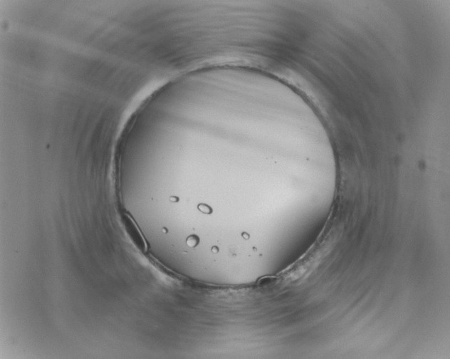 X0000074320902200609152029