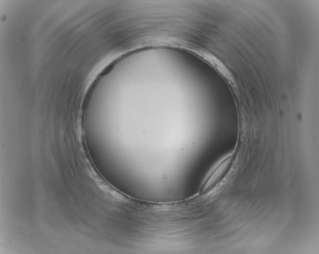 X0000074320904200609152029