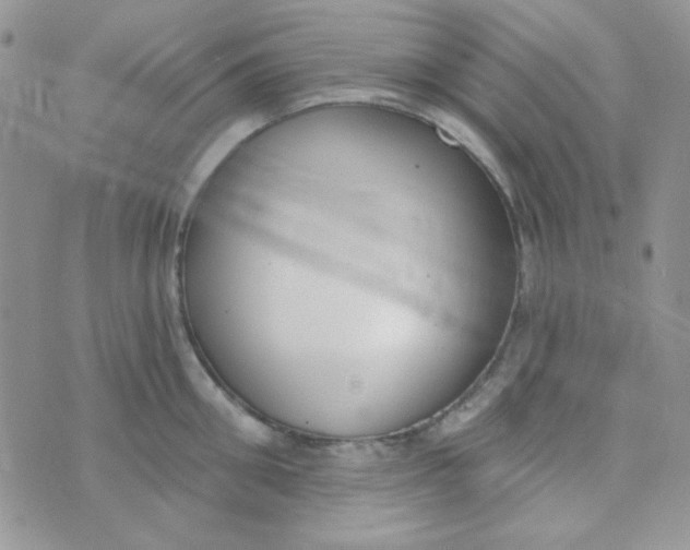 X0000074320906200609152029