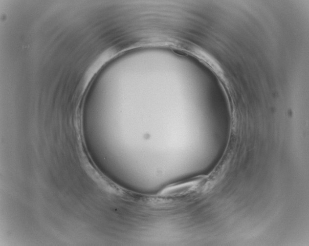 X0000074320907200609152029