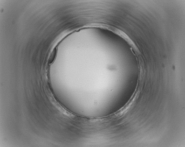 X0000074320908200609152029