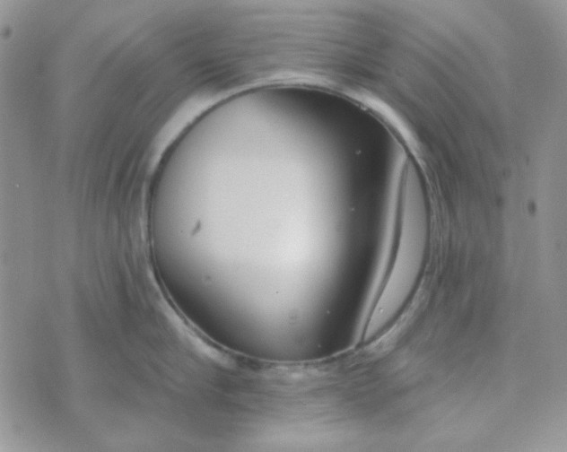 X0000074320910200609152029