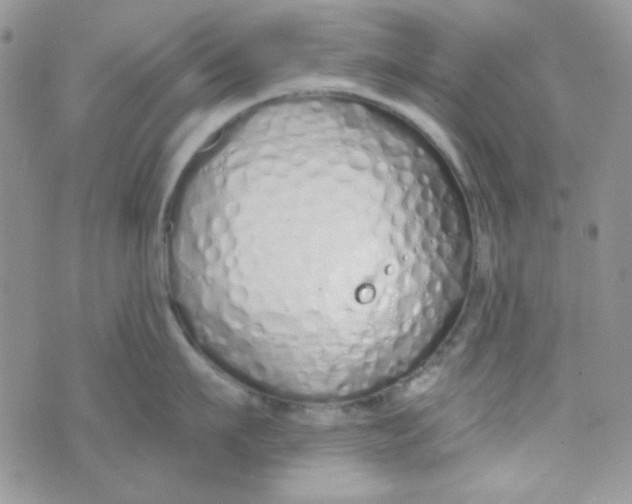 X0000074320911200609152029