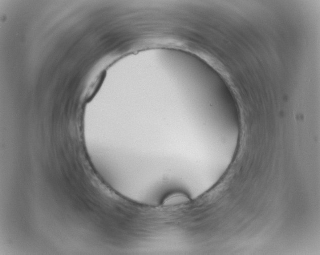 X0000074320912200609152029