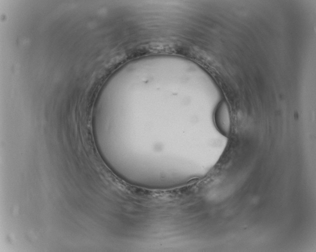 X0000074320913200609152028