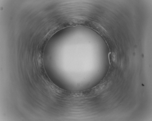 X0000074320915200609152028