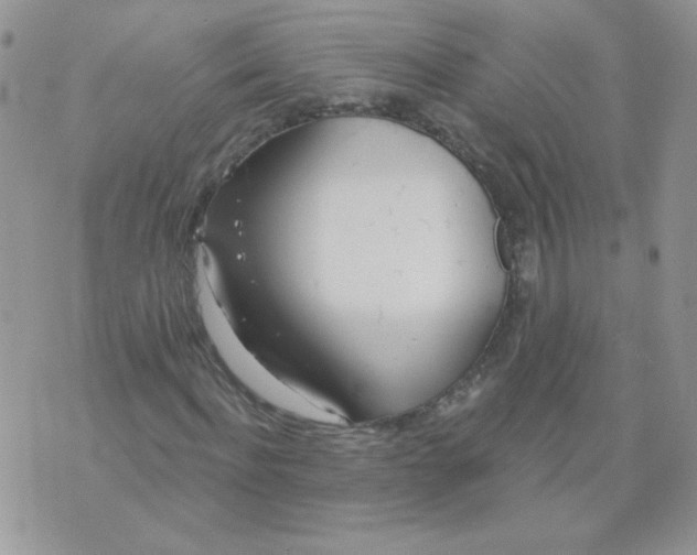 X0000074320916200609152028