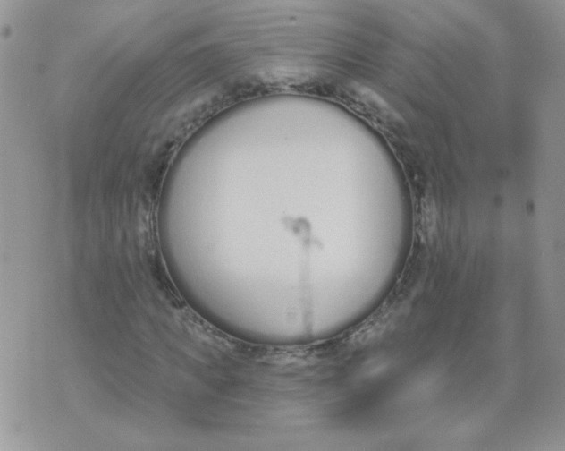 X0000074320917200609152028