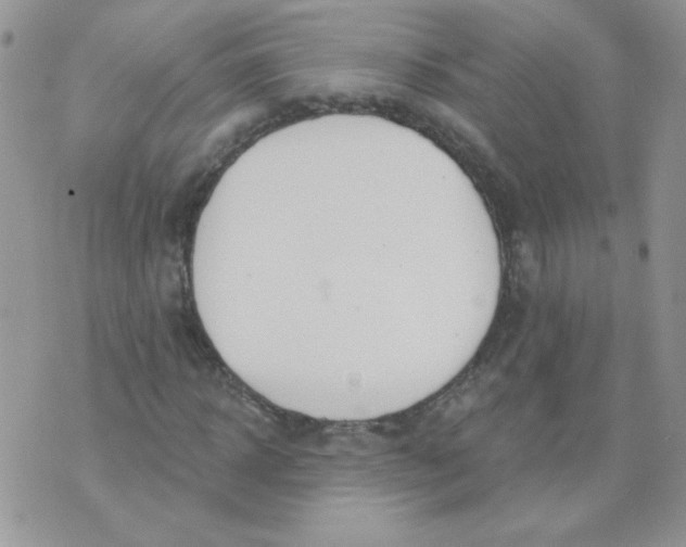 X0000074320918200609152028