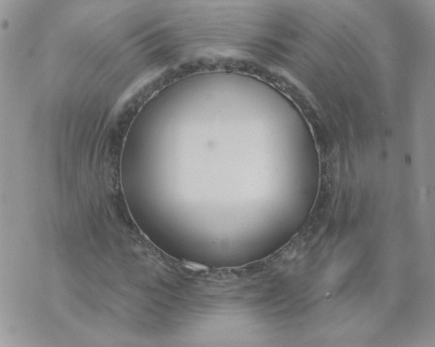 X0000074320919200609152028