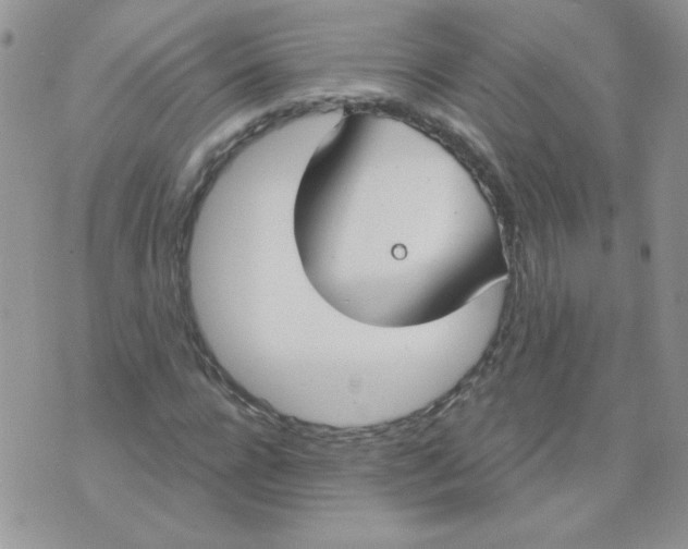 X0000074320920200609152028