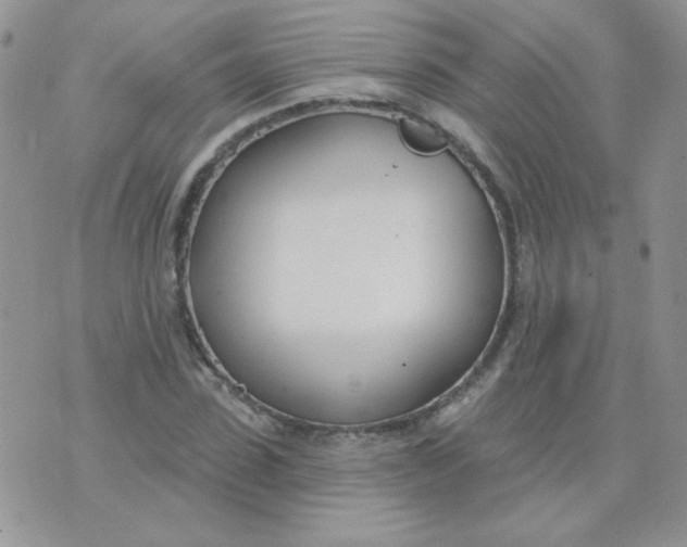 X0000074320923200609152028