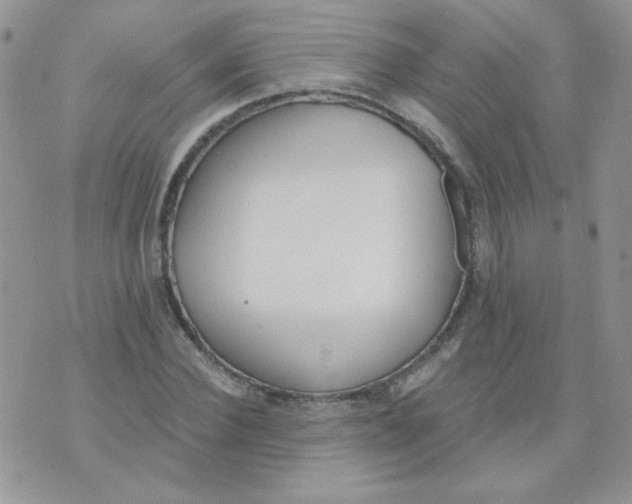 X0000074320924200609152028