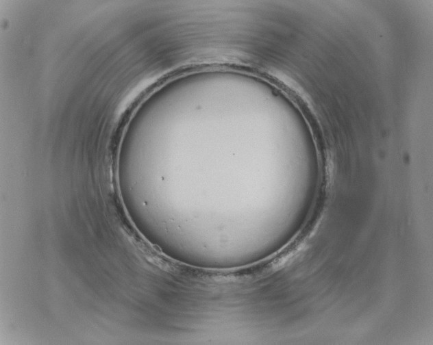 X0000074320925200609152028