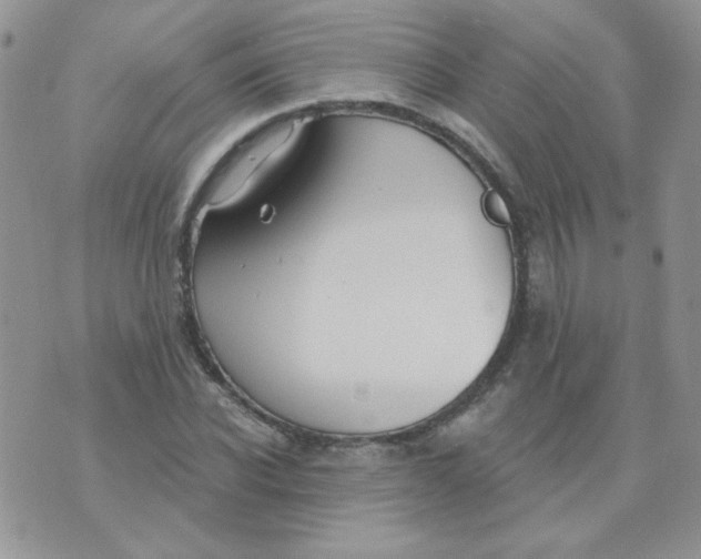 X0000074320926200609152028